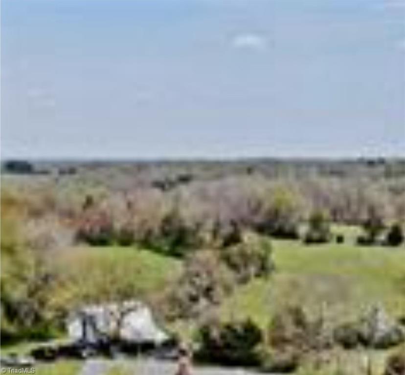 442 Bagley Springs Road Ronda, NC 28670 - Photo 15 of 18 Outlined area reflects current tax map