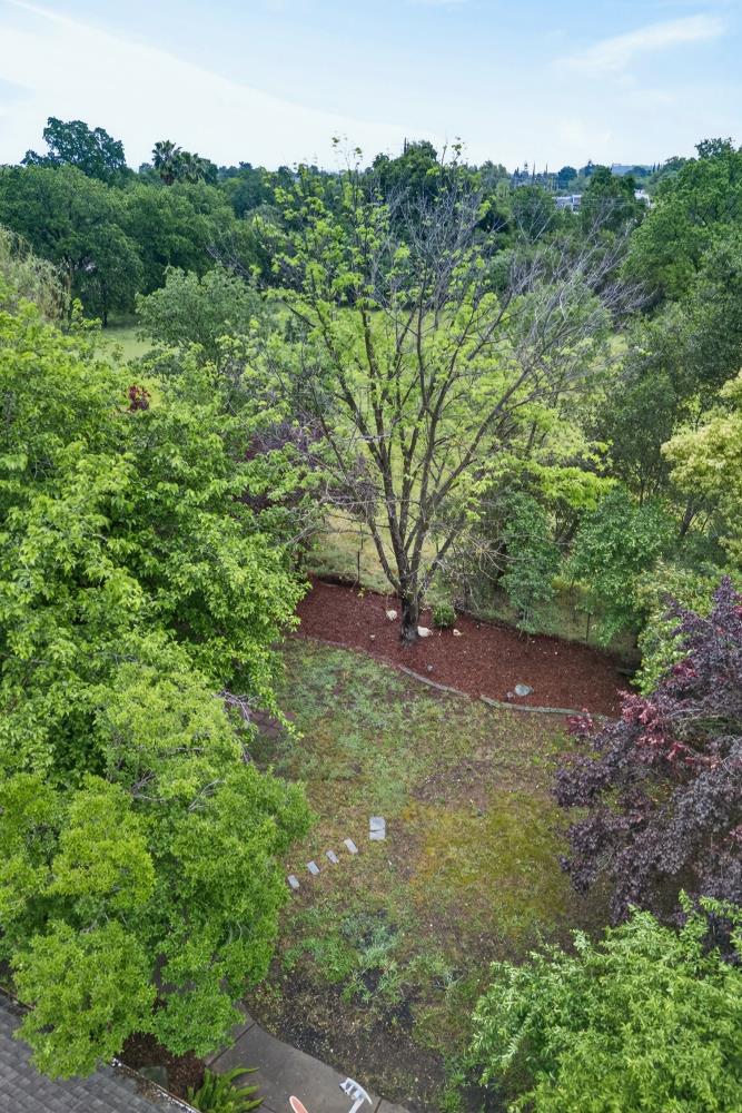 3440 Meadow Way Rocklin, CA 95677 - Photo 43 of 48