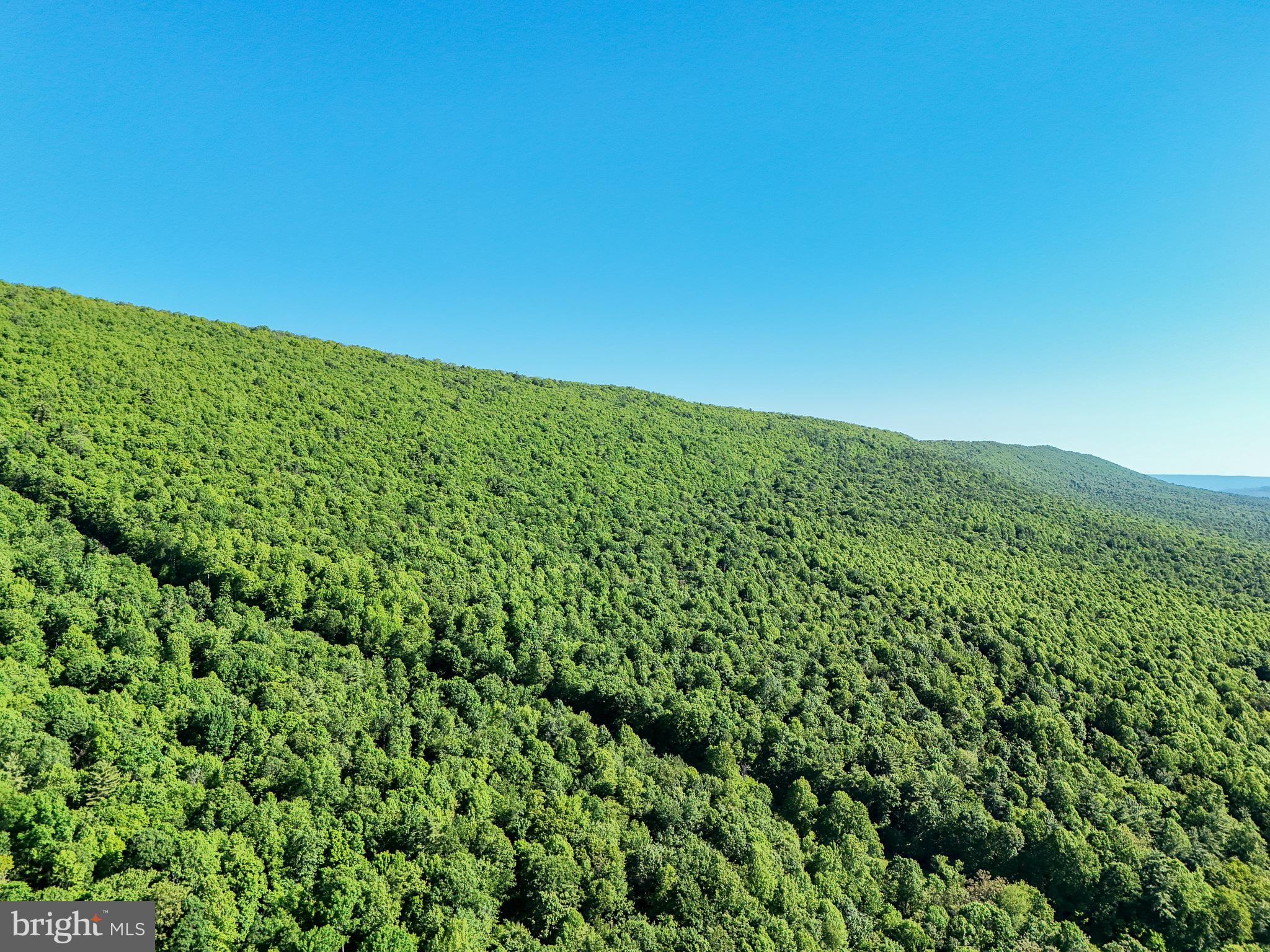 Mountain Road James Creek, PA 16657 - Photo 3 of 28 Lush green hills under a clear sky.