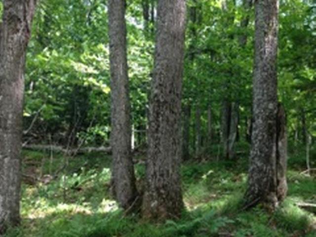 On Ormes Road, Unit LOT B Presque Isle, WI 54557 - Photo 7 of 8 Gallery Image 7