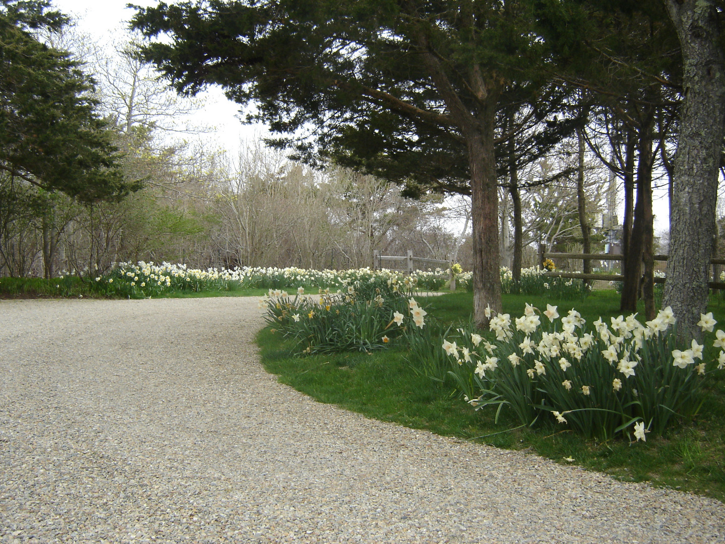 325 Polpis Road Nantucket, MA 02554 - Photo 45 of 49 Gallery Image 45