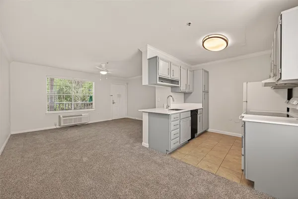 $879 | 7575 Willow Chase Boulevard, Unit 2325, Houston, TX 77070