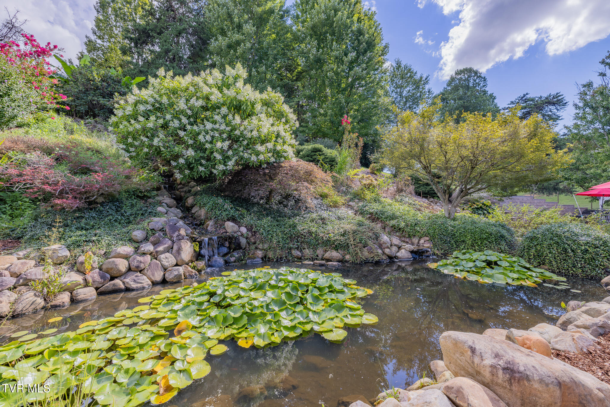 468 Claude Simmons Road Johnson City, TN 37604 - Photo 73 of 104 1R9A7521-HDR-2