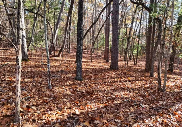 $49,900 | 1.52-ac Tomahawk Drive, Blairsville, GA 30512