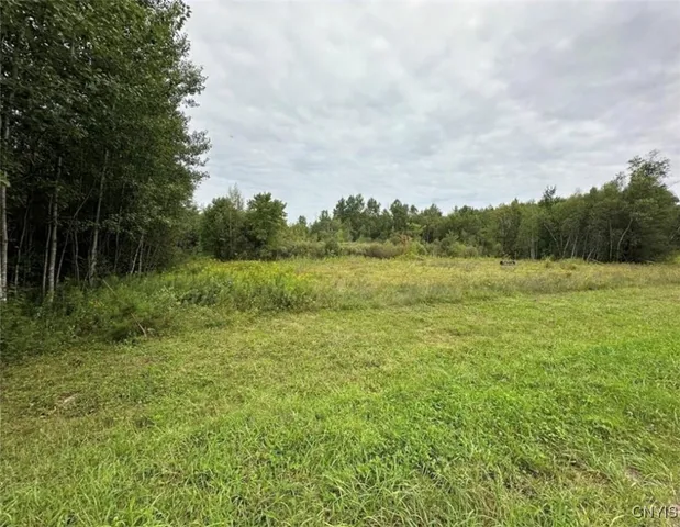 $60,000 | 0 Texas Road, Carthage, NY 13619