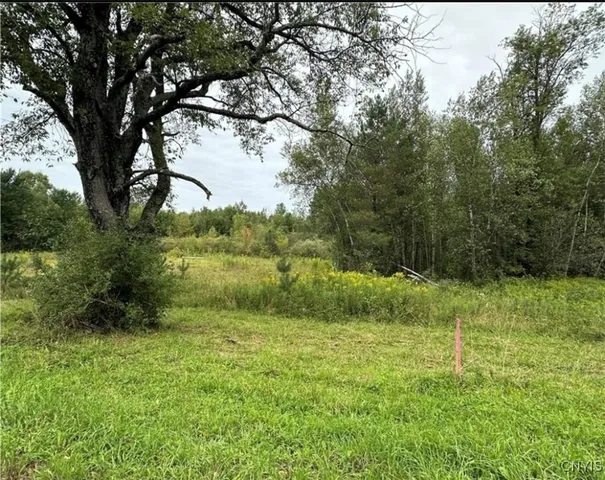 $60,000 | 0 Texas Road, Carthage, NY 13619