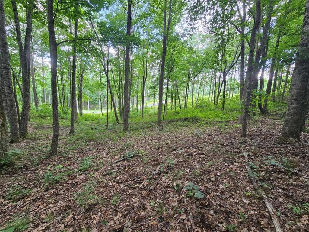 0 Twisted Oak Road Talking Rock, GA 30175 - Photo 11 of 24