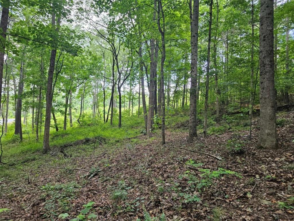 0 Twisted Oak Road Talking Rock, GA 30175 - Photo 12 of 24