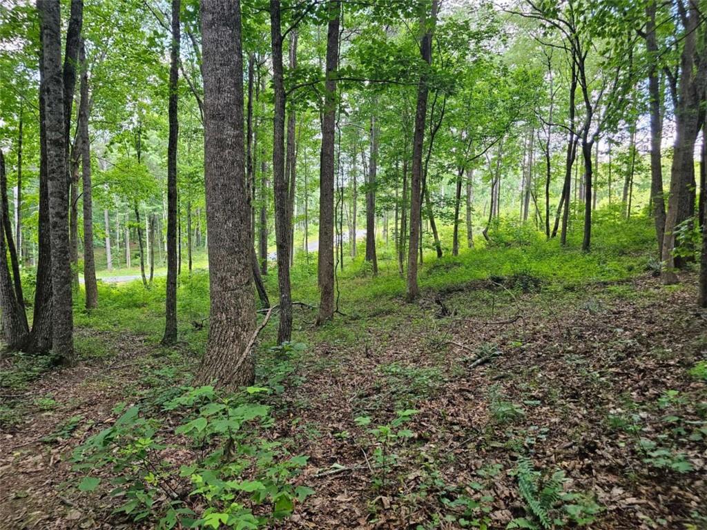 0 Twisted Oak Road Talking Rock, GA 30175 - Photo 13 of 24