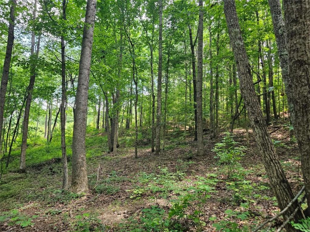 0 Twisted Oak Road Talking Rock, GA 30175 - Photo 14 of 24