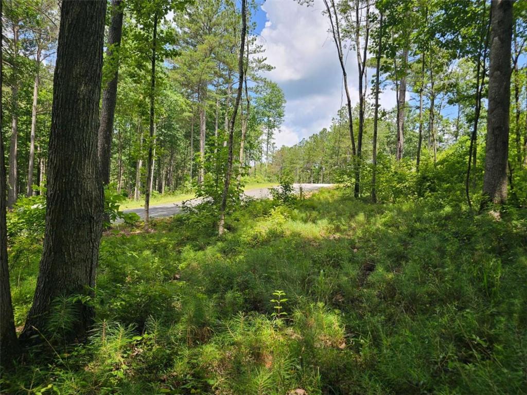 0 Twisted Oak Road Talking Rock, GA 30175 - Photo 15 of 24
