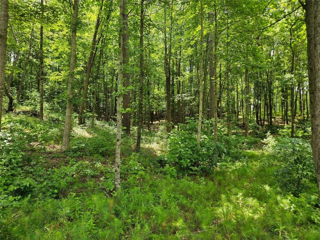 0 Twisted Oak Road Talking Rock, GA 30175 - Photo 16 of 24