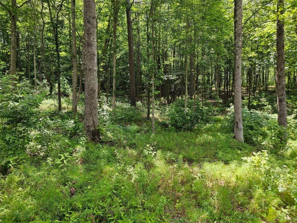 0 Twisted Oak Road Talking Rock, GA 30175 - Photo 17 of 24