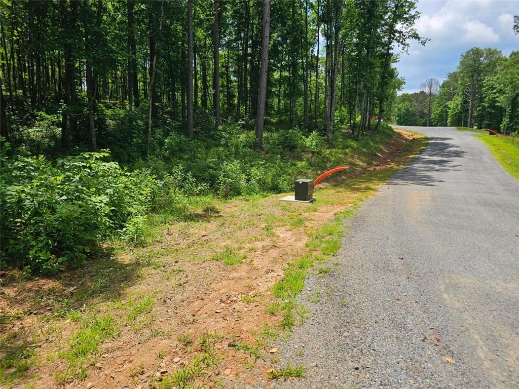 0 Twisted Oak Road Talking Rock, GA 30175 - Photo 18 of 24