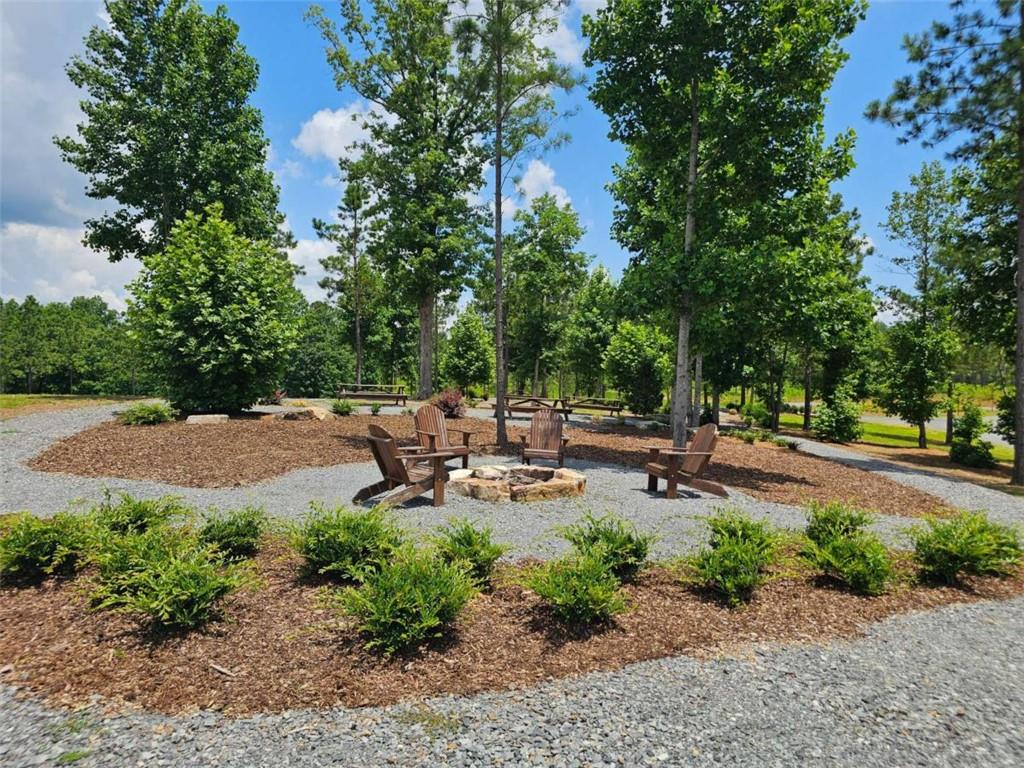 0 Twisted Oak Road Talking Rock, GA 30175 - Photo 19 of 24