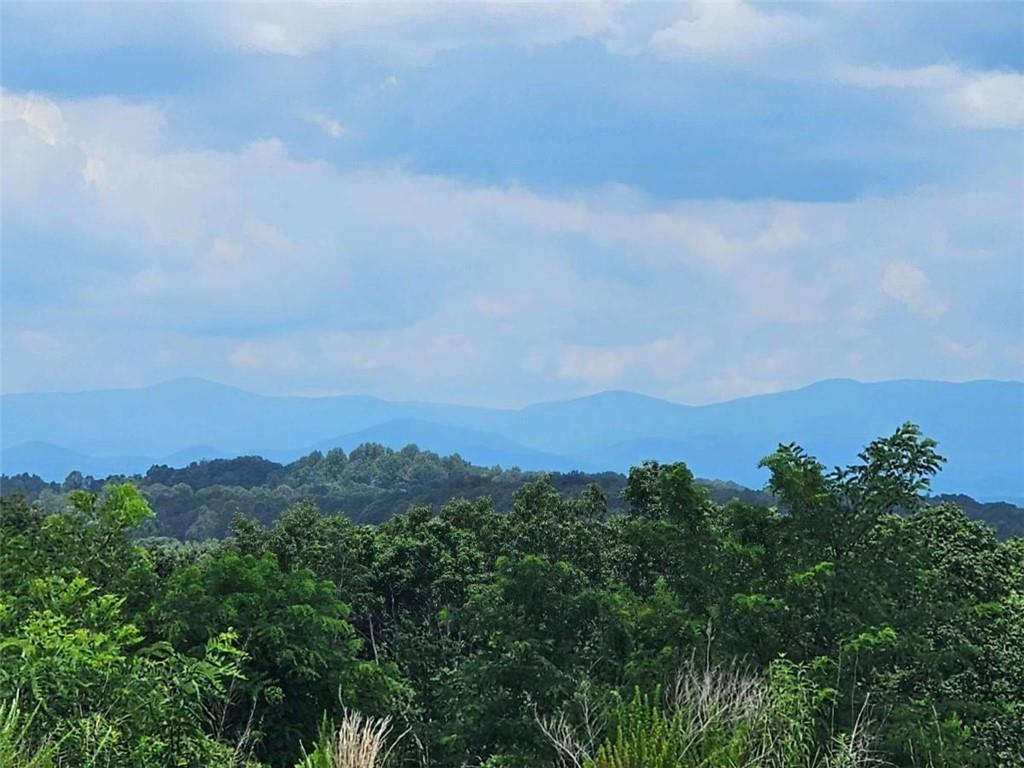0 Twisted Oak Road Talking Rock, GA 30175 - Photo 20 of 24