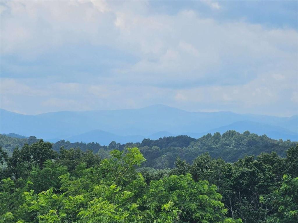 0 Twisted Oak Road Talking Rock, GA 30175 - Photo 21 of 24