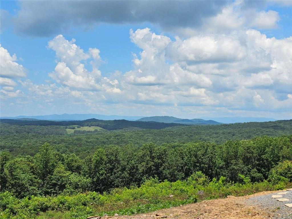 0 Twisted Oak Road Talking Rock, GA 30175 - Photo 22 of 24