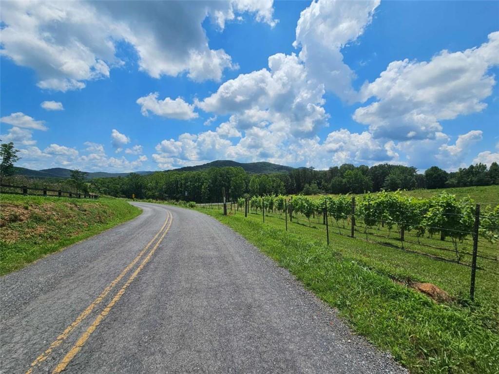 0 Twisted Oak Road Talking Rock, GA 30175 - Photo 23 of 24