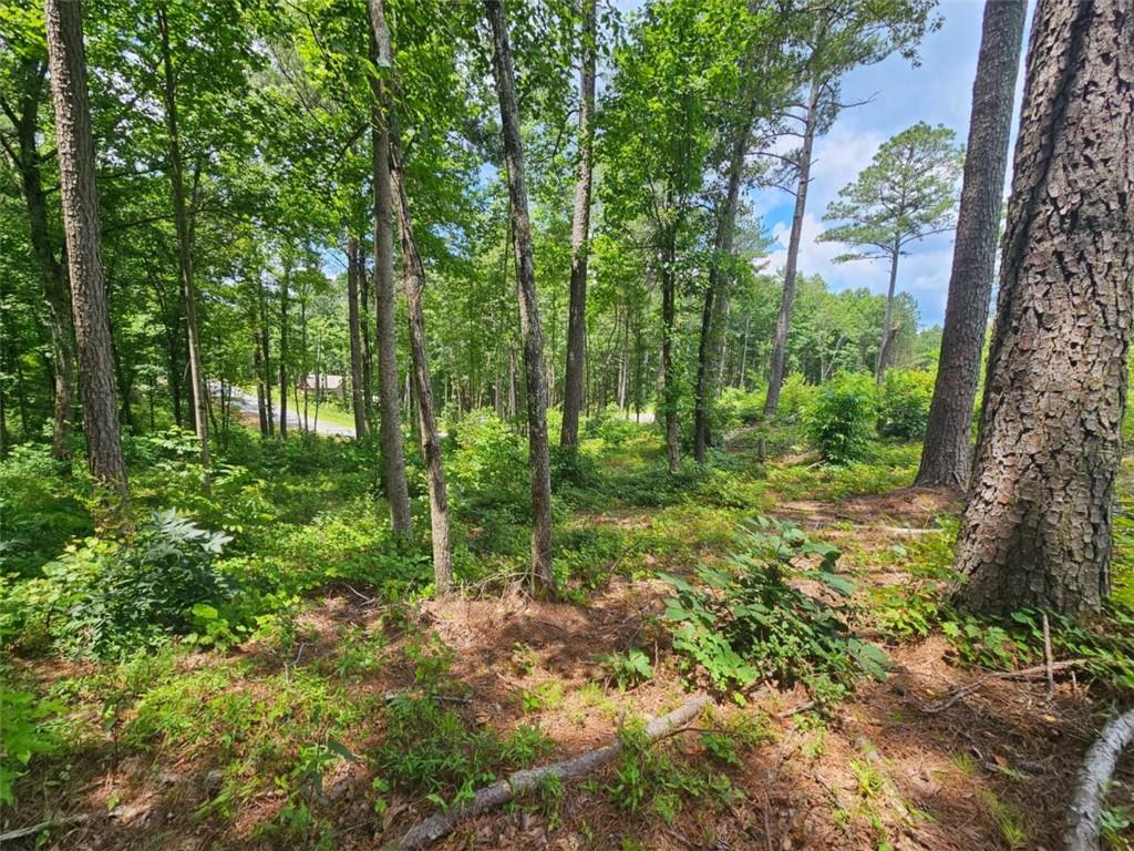 0 Twisted Oak Road Talking Rock, GA 30175 - Photo 3 of 24