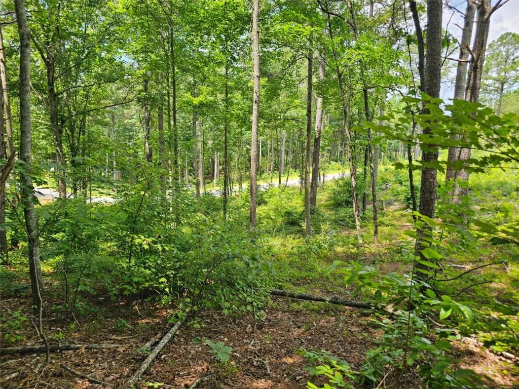 0 Twisted Oak Road Talking Rock, GA 30175 - Photo 4 of 24