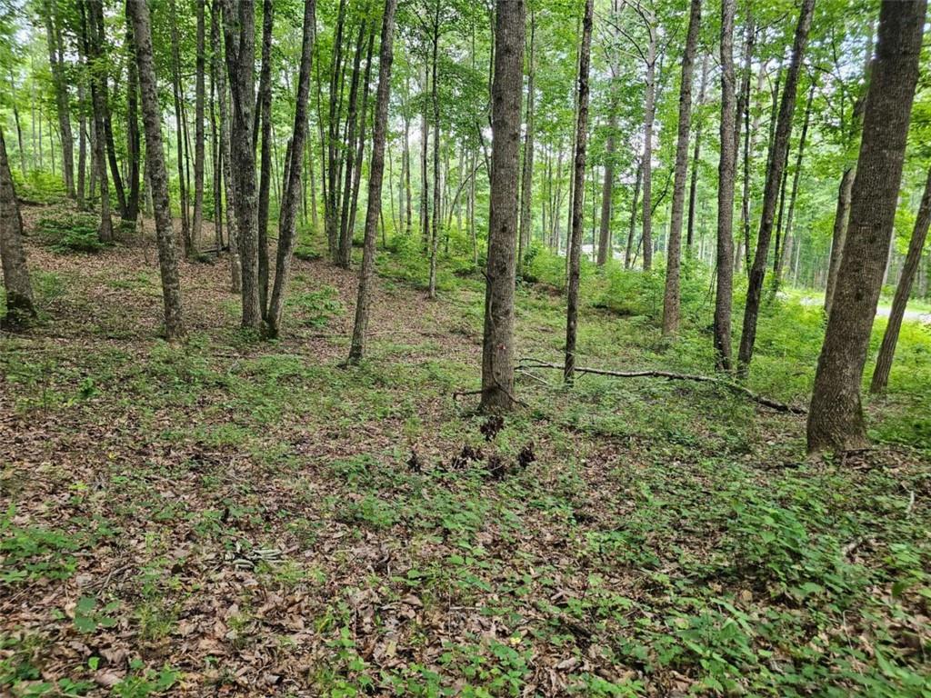 0 Twisted Oak Road Talking Rock, GA 30175 - Photo 6 of 24