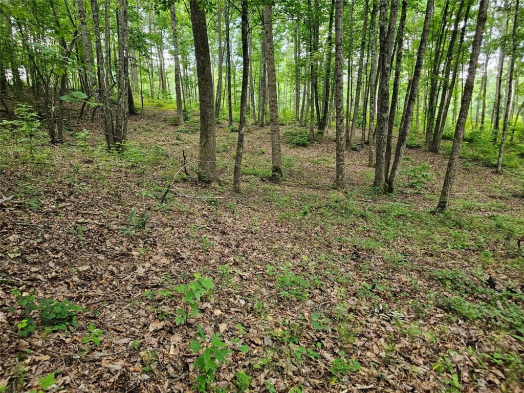 0 Twisted Oak Road Talking Rock, GA 30175 - Photo 7 of 24