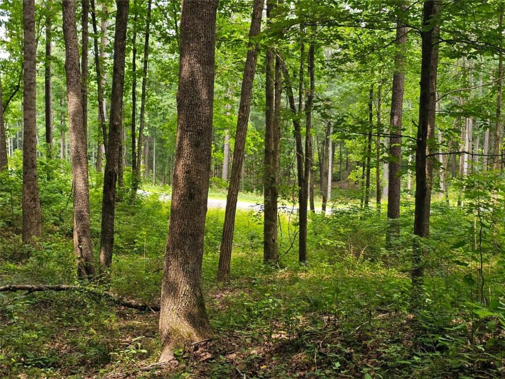0 Twisted Oak Road Talking Rock, GA 30175 - Photo 9 of 24