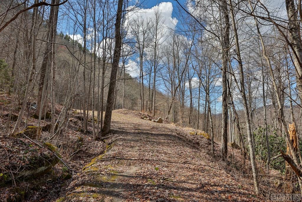 Lot 67 Pilot Knob Road Tuckasegee, NC 28783 - Photo 6 of 32 Gallery Image 6