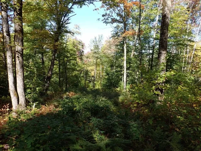$275,000 | West Hill Road, Jamaica, VT 05343