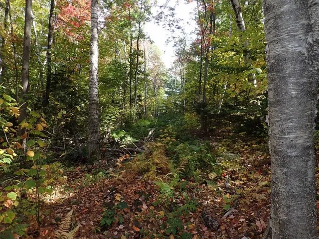 $275,000 | West Hill Road, Jamaica, VT 05343