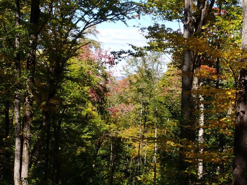 West Hill Road Jamaica, VT 05343 - Photo 7 of 8
