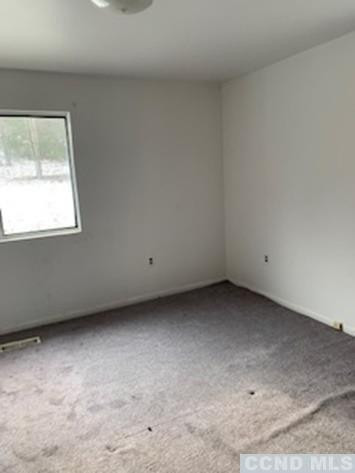 141 Paddock Road Cairo, NY 12413 - Photo 17 of 32 Photo 17