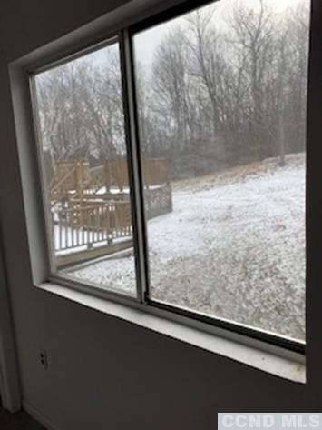 141 Paddock Road Cairo, NY 12413 - Photo 19 of 32 Photo 19