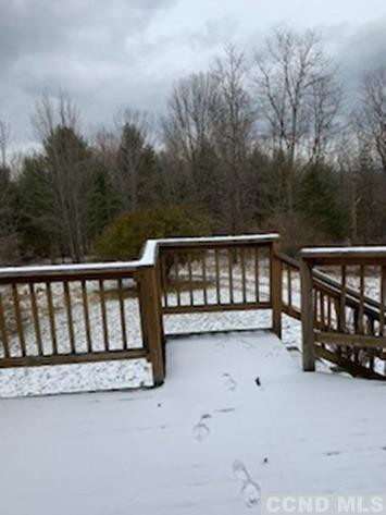 141 Paddock Road Cairo, NY 12413 - Photo 23 of 32 Photo 23