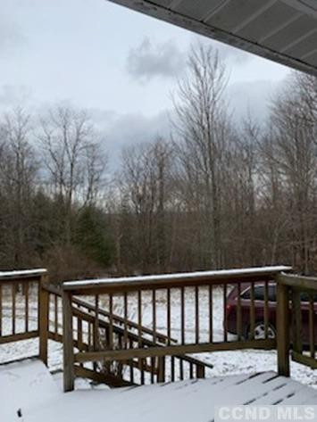 141 Paddock Road Cairo, NY 12413 - Photo 25 of 32 Photo 25