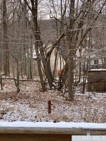 141 Paddock Road Cairo, NY 12413 - Photo 27 of 32 Photo 27