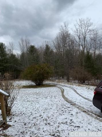 141 Paddock Road Cairo, NY 12413 - Photo 28 of 32 Photo 28