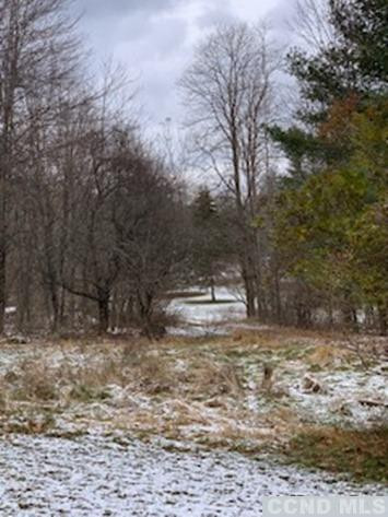 141 Paddock Road Cairo, NY 12413 - Photo 29 of 32 Photo 29