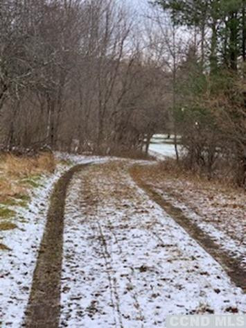 141 Paddock Road Cairo, NY 12413 - Photo 30 of 32 Photo 30