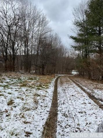 141 Paddock Road Cairo, NY 12413 - Photo 31 of 32 Photo 31