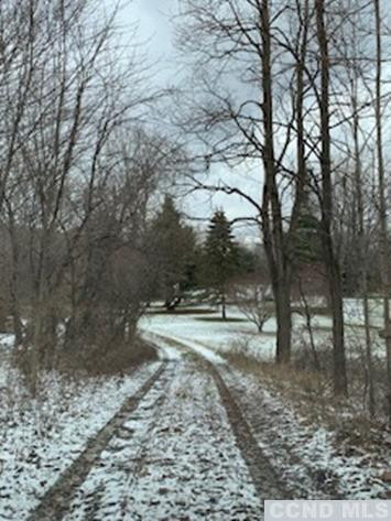 141 Paddock Road Cairo, NY 12413 - Photo 32 of 32 Photo 32