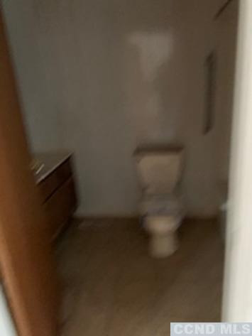 141 Paddock Road Cairo, NY 12413 - Photo 9 of 32 Photo 9