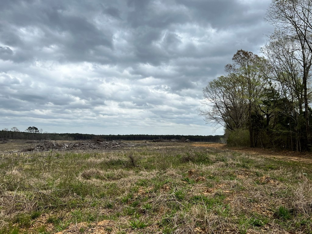 - Ratliff Ferry Road Canton, MS 39046 - Photo 3 of 4 Photo 3