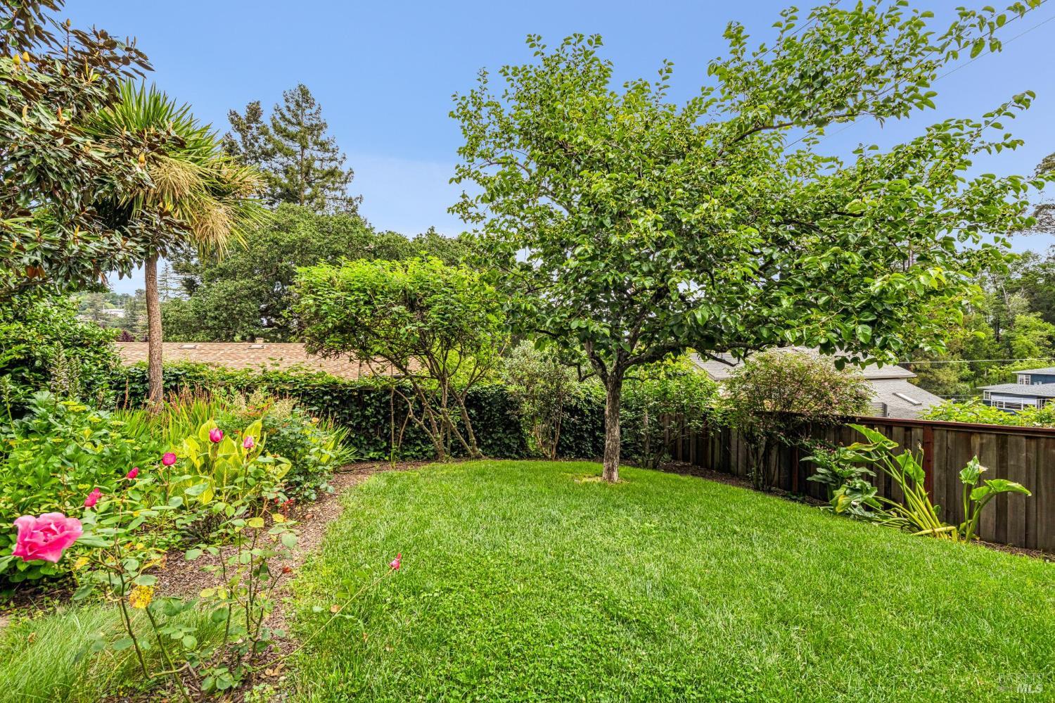 12 Estates Court San Rafael, CA 94901 - Photo 15 of 27