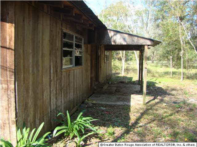 31025 Pea Ridge Road Albany, LA 70711 - Photo 4 of 11