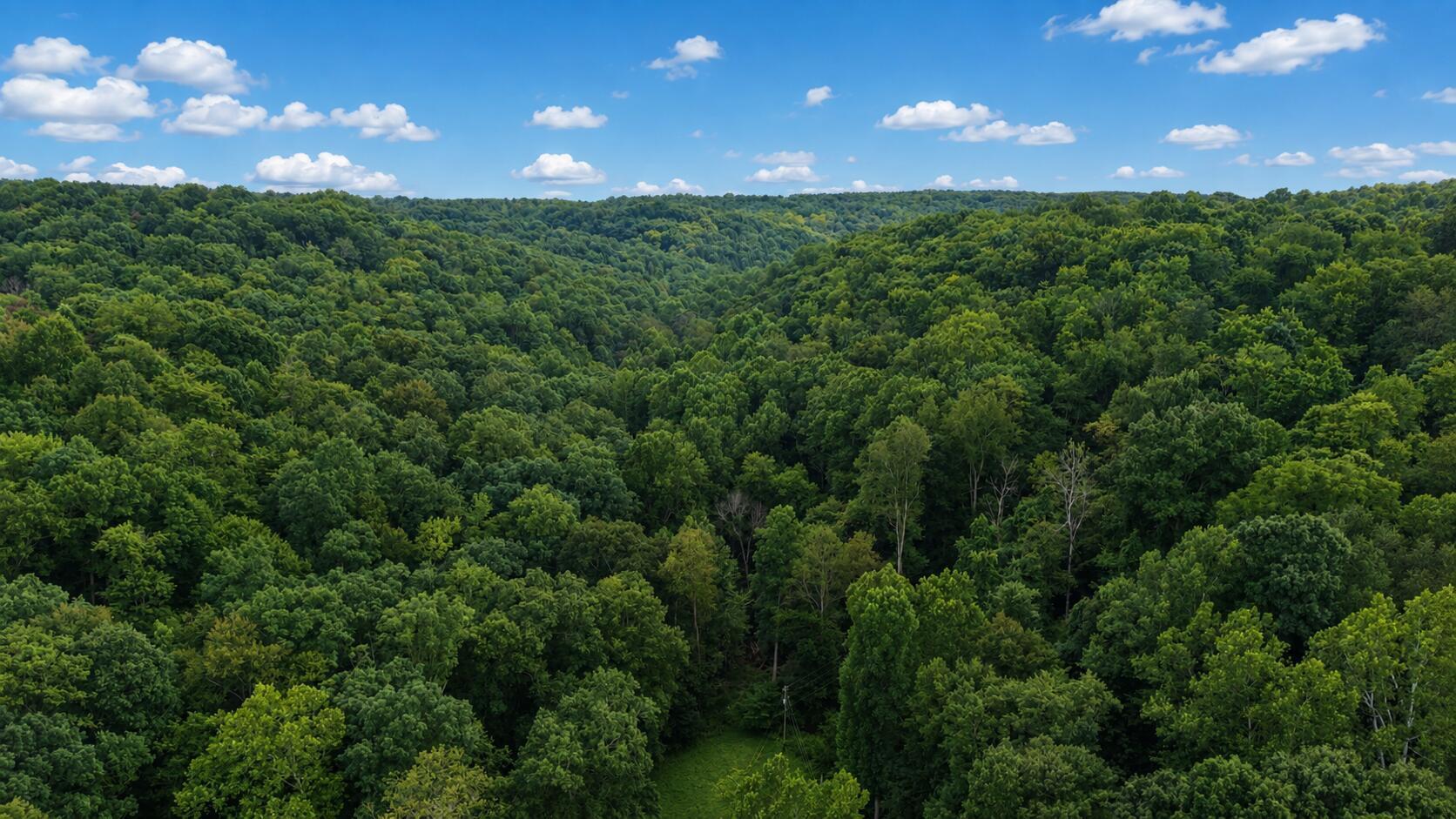 0 Rocky Fork Road Rockbridge, OH 43149 - Photo 1 of 5 1-print-ChatGPT Image Aug 9, 2026 at 07_