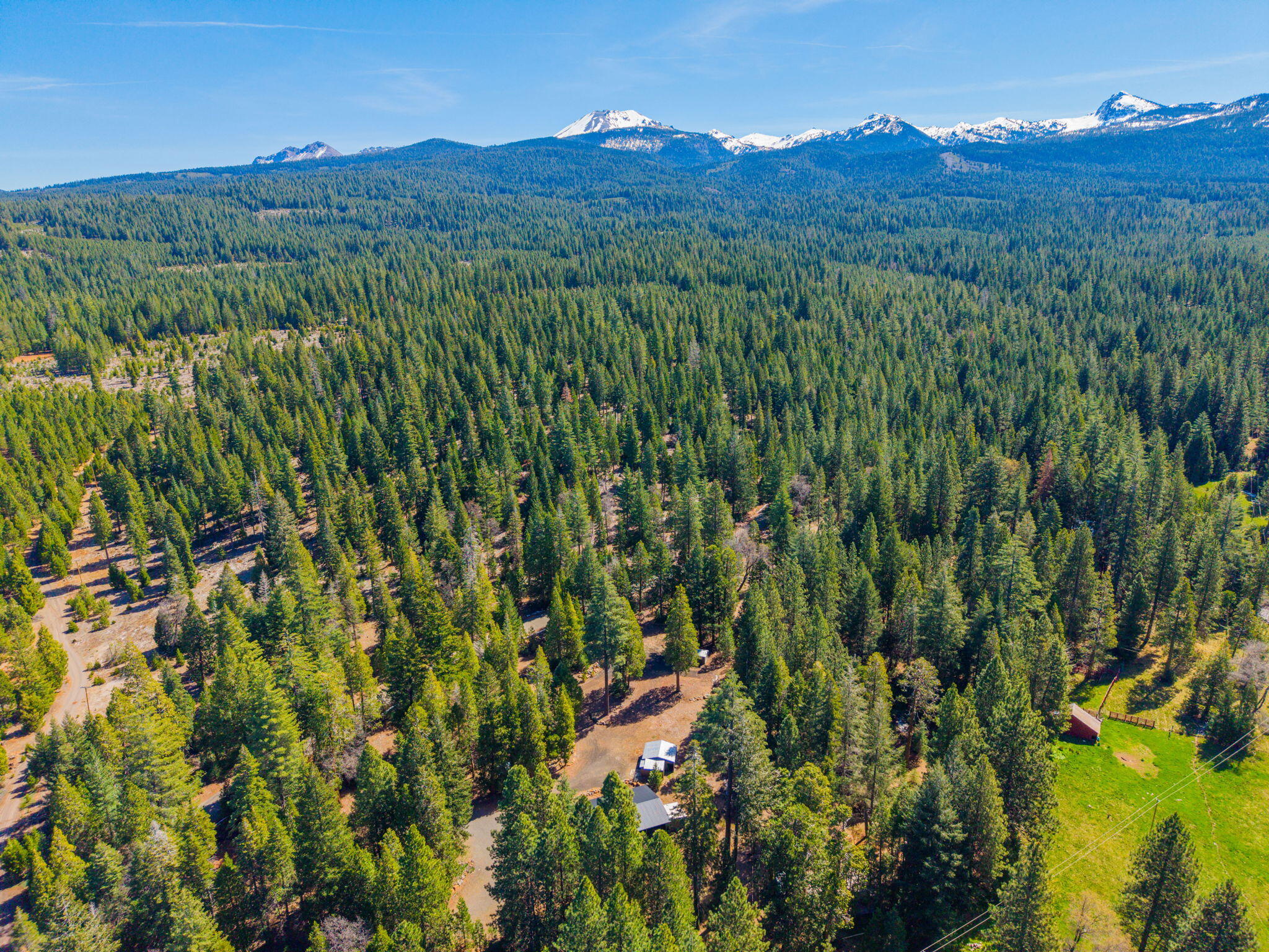 7682 Brokeoff Meadows Road Shingletown, CA 96088 - Photo 51 of 61 a view of a lush green hillside and a building