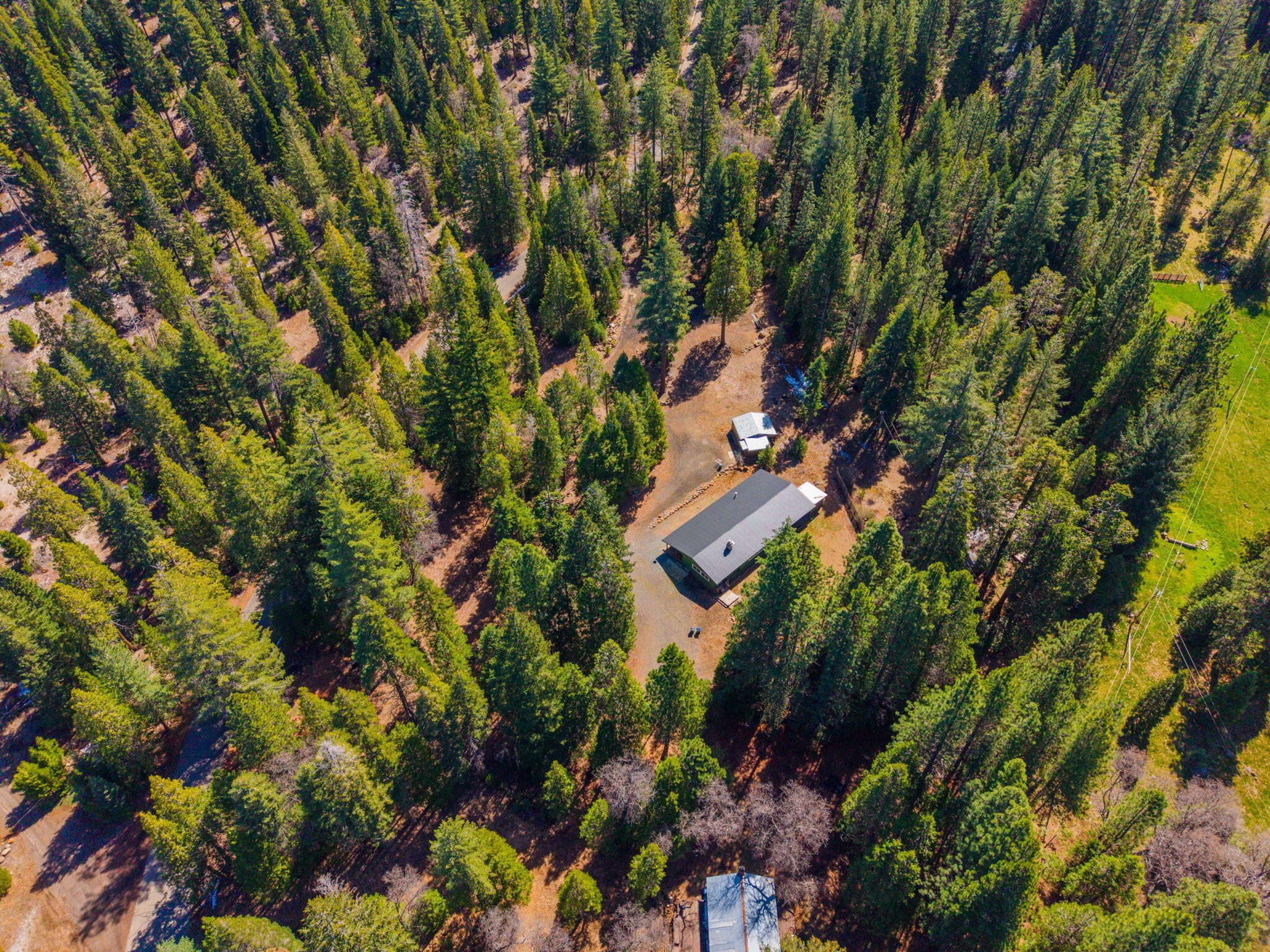 7682 Brokeoff Meadows Road Shingletown, CA 96088 - Photo 52 of 61 Aerial