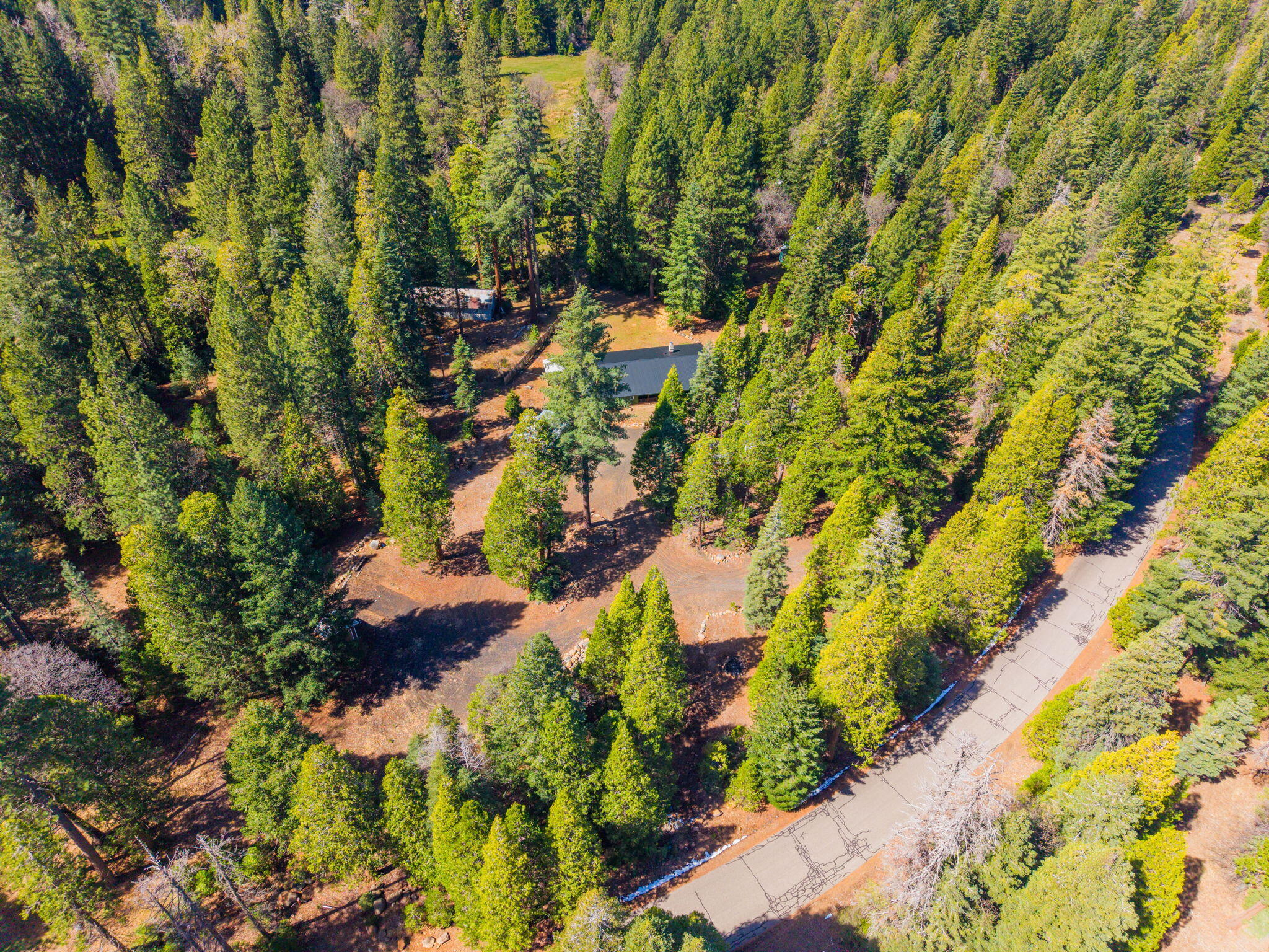 7682 Brokeoff Meadows Road Shingletown, CA 96088 - Photo 55 of 61 an aerial view of residential house with swimming pool and lawn chairs